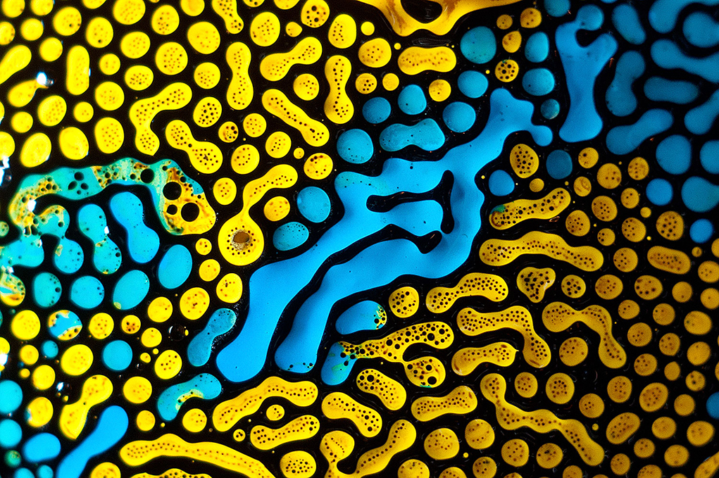 Slideshow Image 6